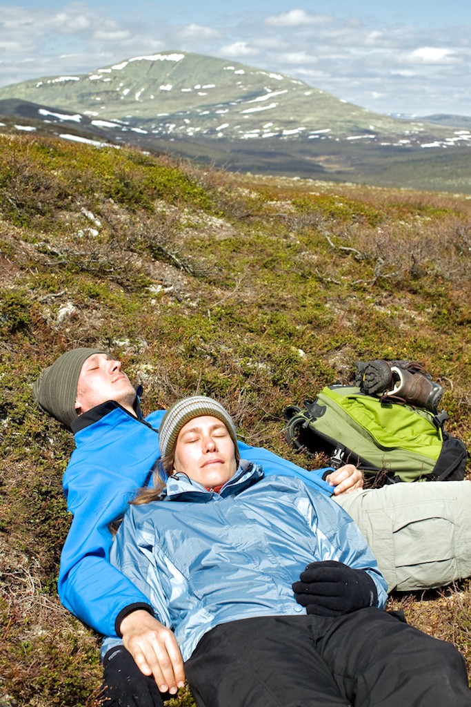 Vilopaus på fjällheden. Foto: Kentaroo Tryman.