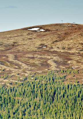 Slukåser ved Fjätervålen.