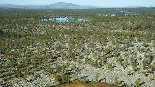 Blockgelände im Nationalpark Femundsmarka. Foto: Naturcentrum AB.