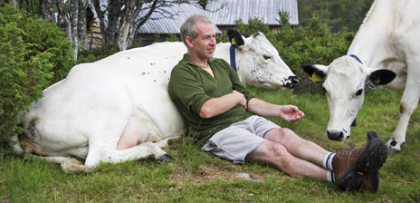 Fäbodvallen är samlingsplats för folk och fä.