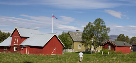 En sommardag på Haugen. Foto: Naturcentrum AB.
