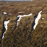 Slukrännor strax utanför naturreservatet.