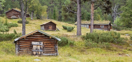 Gutulia. Foto: Kentaroo Tryman.