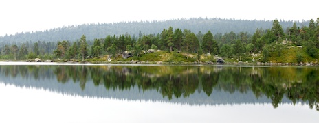 Langtjønna