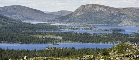 Utsikt över södra delen av naturreservatet. Foto: Marcus Elmerstad.