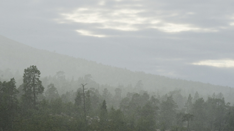 Töfsingdalen. Foto: Marcus Elmerstad.