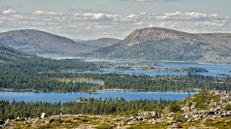 Tänk om detta landskap istället blivit en kraftverksdamm! Foto: Marcus Elmerstad.